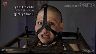 Video 1415683801: bdsm bondage slave, shemale bondage bdsm, slave hd