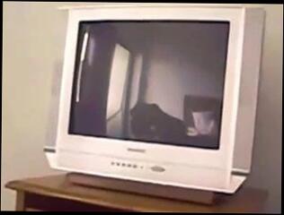 Video 166689001: tits seduction, straight seduction, tits german deutsch, seductive brunette