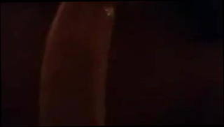 Video 1223924601: faggot, straight