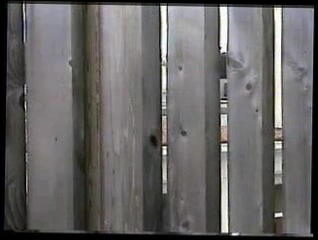 Video 12516401: shemale cumshot, shemale porn, cum shoot, friend cum