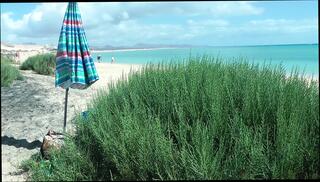 Video 1655731331: mature amateur wife homemade, naked nude straight, wifes naked ass, wife nude beach, wife public nude, naked soles, nudes hd