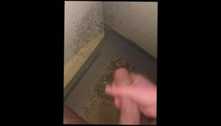 Video 1608877073: solo pee fetish, solo gay uncut cock, uncut twink cum, uncut twink boy, big uncut twink cock, fetish twink porn, twink solo cumshot, solo amateur twink, solo male pee, twink handjob cum, students peeing, twink boys party, gay twink public, male pee desperation, exhib public amateur