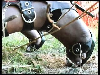 Video 1588479141: vintage doggy style, interracial doggy style, blowjob deep throat doggy, blowjob cumshot doggy style, bitch doggy style, ebony pussy doggy style, best vintage blowjob, brunette blowjob doggy style, handjob doggy style, tits doggy style, doggy style straight, doggy style old, good doggy style, doggy style hd, pig bitch, best porn