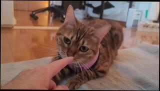 Video 1580671723: squirting orgasm creampie, solo squirt orgasm, squirting anal creampie, solo babe squirts, solo squirt amateur, solo male squirt, solo female squirt, big squirt solo, creampie blowjob amateur anal, squirt big tit babe, clothed squirt, ass seduces, erotic ass, sexy pussy