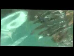 Video 66710601: amber lynn bach, tits blowjob big boob, big tits pornstar blowjob, big boobs blonde blowjob, straight pornstar, underwater blowjob, pool blowjob