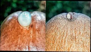 Video 1572513213: dick solo masturbating cumming, solo cock masturbation cum, cum close solo wank, wanks hard cock solo, solo big dick cum, solo male masturbation cum, horny solo masturbation, horny amateur solo, solo big dick cumshot, solo masturbation moaning, sexy solo masturbation, horny solo guy, thick dick solo, solo play cumming, big black dick solo, hot solo male masturbation, solo masturbation extreme, dripping solo, wet solo masturbation, dick dripping precum, guy strokes dick, black dick cream