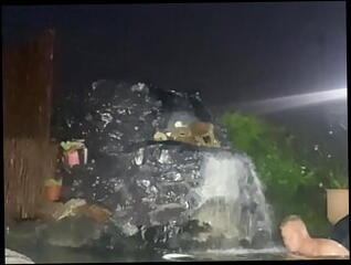 Video 1608674461: solo piss masturbation, piss gay cock, pissing hunk gay, piss gay daddies, solo big cock masturbation, homemade masturbation solo, solo webcam masturbation, solo big cock stroke, cock pissing outdoors, solo close cock, solo masturbation hd, cum