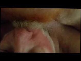 Video 207971001: amateur gay daddy, daddy blows bear, gay man daddy, blow job