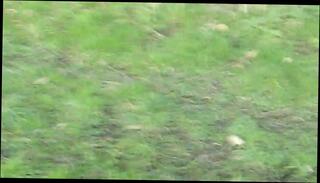 Video 234692501: naked gay man, naked next