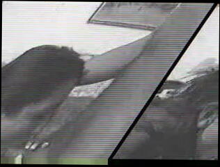 Video 13940301: vanda vitus, straight blowjob, short blowjob, brunette blowjob