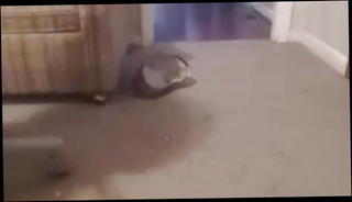 Video 766697101: gay anal cum, anal play cum, sub cum