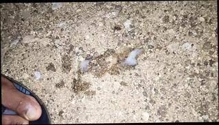 Video 1617206301: gay hairy boy, hairy sexy gay, hairy indian boy, hairy mature boy, hairy masterbation, hairy young boy, hairy black gay, hairy muscular, hairy stockings, hairy public, hairy college, hd hairy, boy gay bathroom