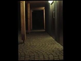 Video 60143001: dom, shemale porn