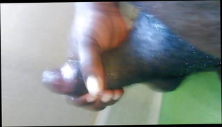 Video 505354601: stroking thick dick, gay man strokes, gay hd