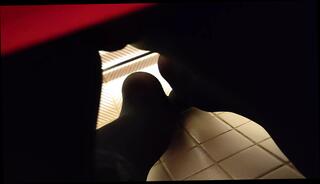 Video 1580576251: gay fetish, black fetish, fetish hd