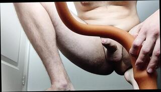 Video 1586565881: solo anal dildo masturbation, teen solo anal dildo, huge bbc dildo anal, dildo cock bbc, bbc bareback anal, big ass solo dildo, solo toy dildo, solo amateur dildoing, solo dildo sex, gay solo dildo, bbc bareback white, solo dildo hd, gay sex bareback boy, dildo sex toy extrem, dildo sex toy man, bareback emo boys gay, anal dildo dick, bareback young gay boy, gay sex guys bareback, hunk bareback ass, bareback straight boys, dildo anal insertion, long anal dildo, european boy bareback, very long dildo