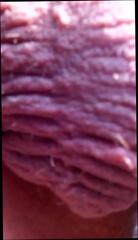 Video 286643001: amateur gay daddy, daddy bulge, daddy hd