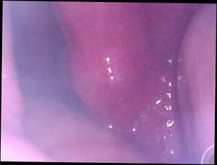 Video 1617327893: femboy gaping ass, trans femboy sissy, femboy fingers ass, big ass femboy sissy, femboy solo ass, sissy femboy anal, sissy femboy amateur, pov anal gape, cute sissy femboy, femboy fetish, gaping fisting anal ass, femboy stretching ass, tight femboy ass, ass gaping deep, pov german amateur, pov camera