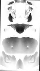 Video 1616701011: shemale femboy trap sissy, sissy femboy cum, femboy sissy cumshots, trans femboy sissy, sissy femboy ladyboy, sissy femboy masturbate, femboy fetish, big cock femboy cum, sissy cummies, ts femboy, tits femboy big, gothic femboy, femboy cosplay, goth sissy, sissy american, femboy stockings, fetish hd