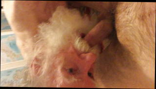 Video 1571303051: gay boy cock, boy slurps