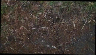 Video 1566402541: pissing masturbating cumming, gay piss cum, piss cum outdoor, pissing bear gay, piss british, sleeping cum