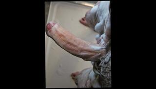 Video 1597492703: solo uncut cock masturbating, uncut solo male, big uncut cock horny, big cock dick uncut, uncut cock handjob, sexy uncut cock, amateur uncut cock, uncut british cock, alone solo masturbation, hot solo male masturbation, sexy shower solo, horny solo mature, naughty solo, horny cleaning