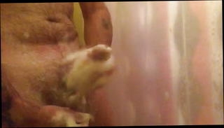 Video 942999201: masturbation gay, gay shower