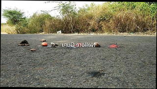 Video 1440328301: skinny gay sex, skinny toy, skinny black gay, skinny webcam, wrestling skinny, skinny outdoor, fat skinny, hd skinny, gay sex black hunks