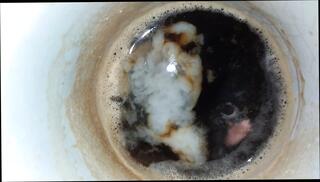 Video 1584579331: solo cock masturbation cum, cumshot masturbation gay solo, creampie amateur cumshot blowjob, big cock blowjob creampie, creampie cum drinking, solo sperm, penis solo, solo masturbation hd, creampie lover