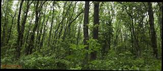 Video 1653224021: crossdresser sissy fucks dildo, vintage foot fetish, crossdresser sissy ass fucked, crossdresser compilation cum fuck, crossdresser anal dildo toy, shemale anal dildo compilation, foot fetish sex toy, amateur milf cumshot compilation, amateur homemade foot fetish, sissy crossdresser trans, sissy anal training compilation, big ass sissy crossdresser, crossdresser dildo masturbation, dildo beautiful milf cum, milf fucks huge dildo, amateur mature milf compilation, foot fetish couple, foot fetish high heels, high stockings foot fetish, young sissy crossdresser, outdoor foot fetish, female foot fetish, foot fetish hd