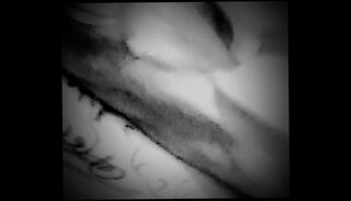 Video 1288355895: swallow creamy