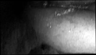 Video 770184603: solo amateur dildoing, gay solo dildo, solo huge dildo, solo male dildo, black dildo solo, dildo creampie