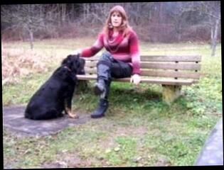 Video 102288001: tranny gay man