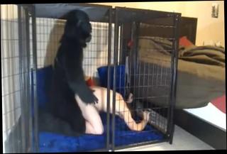 Video 1002814004: fetish bareback, gay bareback, anime, pet