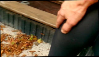 Video 819598201: cameltoe spandex, homemade straight