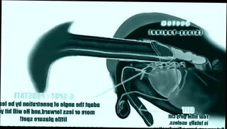 Video 659439555: sissy ladyboy shemale, shemale tranny sissy, sissy dirty talk, russian sissy, lovely ladyboy