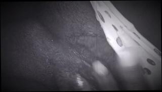 Video 772629803: hairy milf squirt, milf solo squirt, hairy amateur pussy squirts, solo masturbation squirting orgasm, milf hairy pussy fuck, hairy pussy squirt wet, ebony milf squirt, solo female squirt, hairy daddy masturbation, waxed pussy, hairy pussy touching, wax play