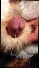 Video 341908801: masturbation gay, masturbate stroke, white masturbation, masturbation hd