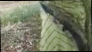 Video 1252548801: aunty fingering, fingering pierced pussy, fingering wifes pussy, fingering pussy outdoor, tight asian pussy fingered, aunty homemade, shower finger pussy, fingering public pussy, fingering straight