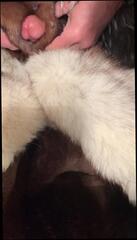 Video 1542633501: gay hunk masturbating, amateur gay hunks, masturbating muscle hunk, muscular gay hunk, muscle hunk handjob, amateur masturbation hd, muscle hunk strokes