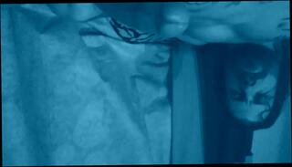 Video 915574903: dick solo male, amateur solo male, solo rubbing