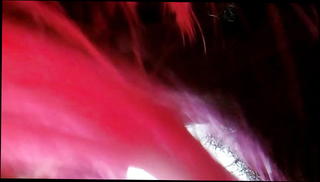 Video 832155801: bbc sucking gay, couple bbc