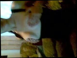 Video 55690201: straight amateur, young innocent