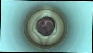 Video 344284001: masturbate cum cam, sex toy cam, amateur cam masturbation, gay masturbation cum, cum cam man, cum ejaculation, amateur masturbation hd