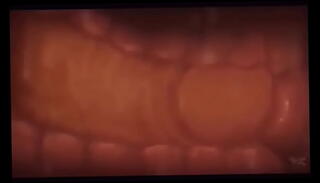 Watch the video about Inside