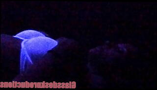 Video 899803995: super sexy model, model hot sexy, model orally, hot model cumming, bukkake drip, secret models, model casting, model celebrity, model wet, model deep, black model, casting couch cum