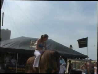 Video 46258204: bikini beach girls, chicks kissing, tits chick, chick public, one girl, big ass public, titty