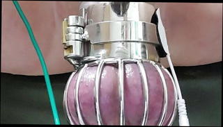 Video 1573564731: balls bdsm cbt, cbt milk, cock cage cum, cock ball torment, amateur cock milking, milk gay sex, bdsm sex toys, cbt ball stretching, cbt cumshot, small cage, milk hd, thick cock balls, bitch ball, cock cum load, american gay sex