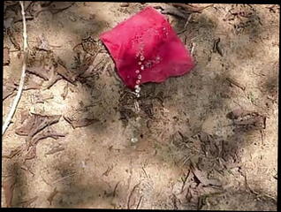 Video 1596363361: sissy crossdresser piss, twink bareback piss, pissing fetish twinks, hairy twinks bareback, sissy crossdresser solo, twink gay boys pissing, twink piss gay sex, twinks pissing teen gay, pussy gaped pissed, sissy gaping ass, twink piss cum, cum eating crossdresser sissy, big dick twinks bareback, sissy crossdresser toying, twink barebacked roughly, hentai sissy, gay twink boy fisting, hairy teen pussy hd, solo teen fantasy, stranger ass, wet ass