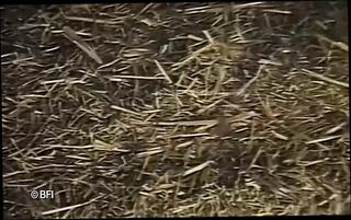 Video 1624554841: fetish gay boy, fetish teen boy, gay fetish cumshot, fetish teen anally, fetish blowjob anal, fuck sucking wildly, bedroom gay, horny athletic